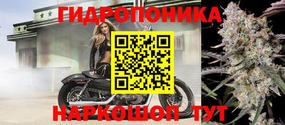 трава Лесной