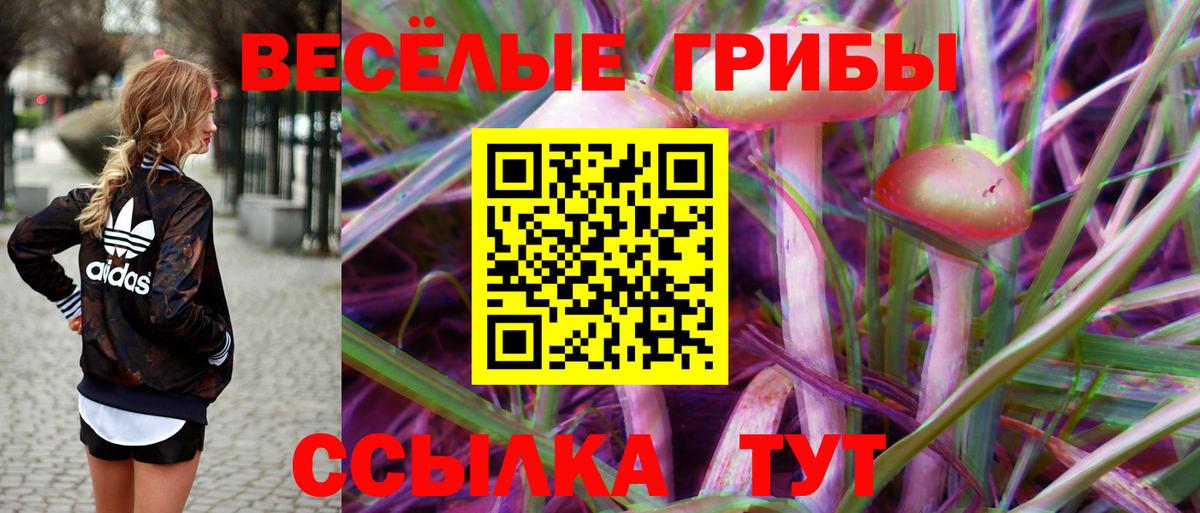 Норильск  Галлюциногенные грибы Magic Shrooms  Псилоцибиновые грибы GOLDEN TEACHER  Вход с VPN 