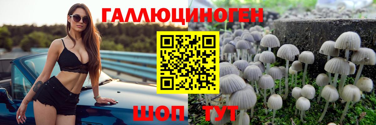 Галлюциногенные грибы GOLDEN TEACHER Норильск